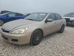 Honda Accord LX salvage cars for sale: 2006 Honda Accord LX