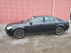 Salvage cars for sale from Copart London, ON: 2011 Chevrolet Malibu 2LT