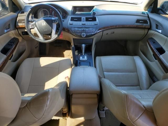 2008 Honda Accord EXL