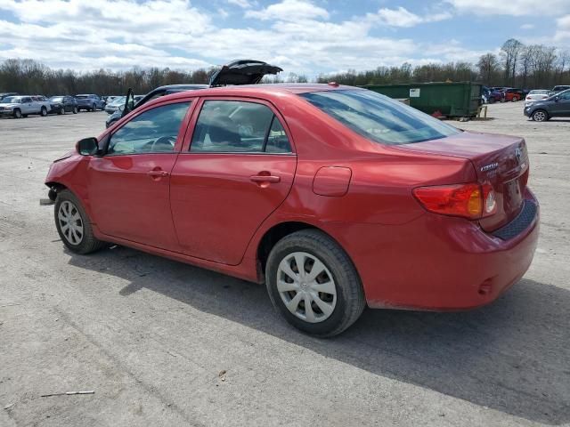 2010 Toyota Corolla Base