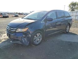 Salvage cars for sale from Copart San Diego, CA: 2014 Honda Odyssey EXL