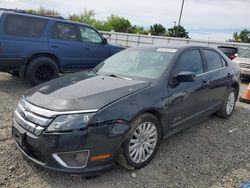 Salvage cars for sale from Copart Sacramento, CA: 2010 Ford Fusion Hybrid