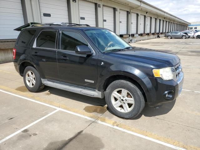 2008 Ford Escape HEV