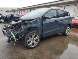 Salvage cars for sale from Copart Louisville, KY: 2019 Ford Escape Titanium