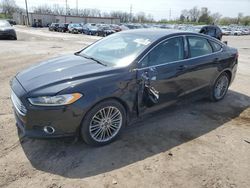 Salvage cars for sale at Fort Wayne, IN auction: 2013 Ford Fusion SE