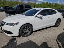 Salvage cars for sale at Bridgeton, MO auction: 2016 Acura TLX Tech