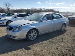 Toyota salvage cars for sale: 2005 Toyota Avalon XL