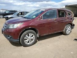 Salvage cars for sale at Brighton, CO auction: 2014 Honda CR-V EXL