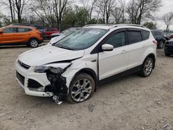 Ford Escape Titanium salvage cars for sale: 2014 Ford Escape Titanium