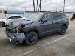 Salvage cars for sale at Van Nuys, CA auction: 2024 Subaru Forester Wilderness