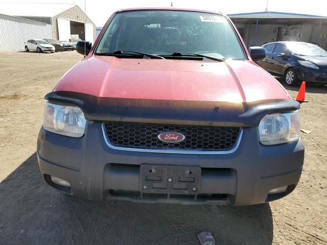 2004 Ford Escape XLT