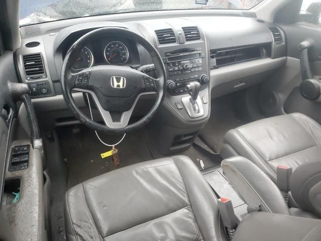 2010 Honda CR-V EXL