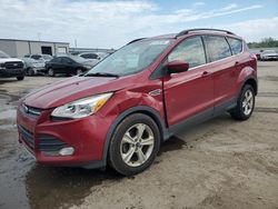 Salvage SUVs for sale at auction: 2014 Ford Escape SE