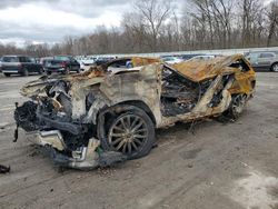 Salvage cars for sale from Copart Ellwood City, PA: 2021 Cadillac Escalade Premium Luxury