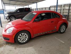 Salvage cars for sale at Anthony, TX auction: 2013 Volkswagen Beetle