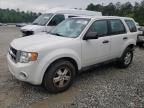 2010 Ford Escape XLS