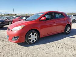 Toyota salvage cars for sale: 2010 Toyota Corolla Matrix