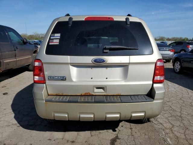 2010 Ford Escape XLT