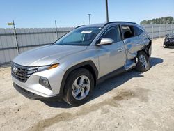 Salvage cars for sale at Lumberton, NC auction: 2023 Hyundai Tucson SEL