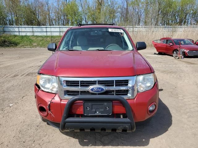 2010 Ford Escape XLT