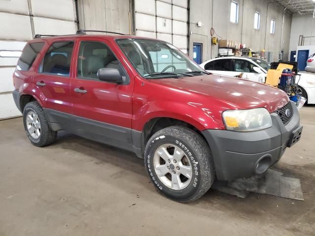 2007 Ford Escape XLT