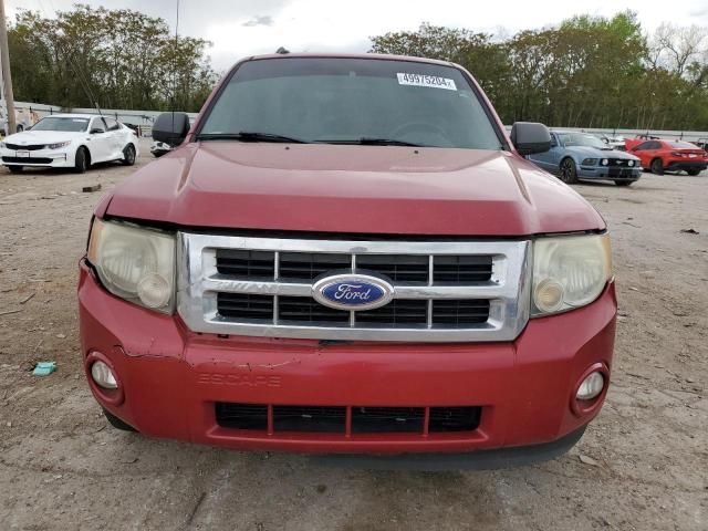 2011 Ford Escape XLT