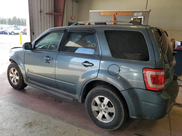 2010 Ford Escape Hybrid