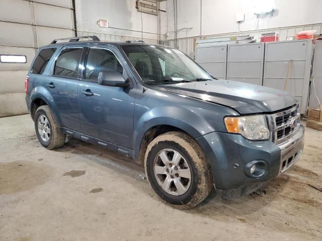 2010 Ford Escape Limited