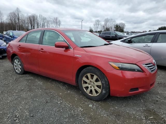 2007 Toyota Camry Hybrid