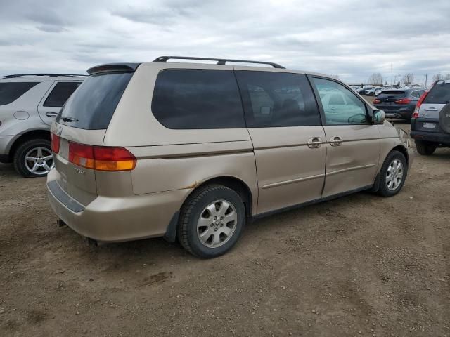 2002 Honda Odyssey EXL