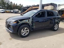 Salvage cars for sale at Eldridge, IA auction: 2024 Hyundai Tucson SEL
