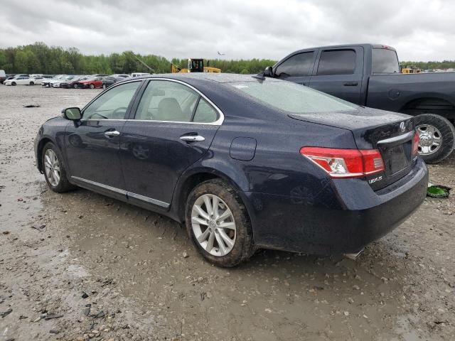 2010 Lexus ES 350