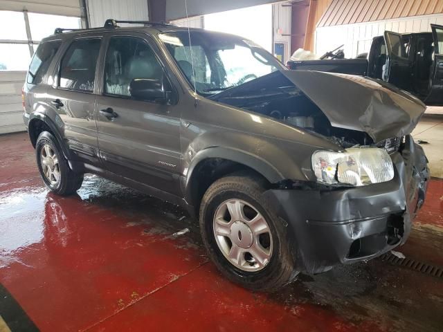 2002 Ford Escape XLT