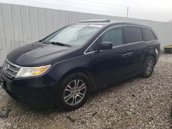 Honda salvage cars for sale: 2011 Honda Odyssey EXL