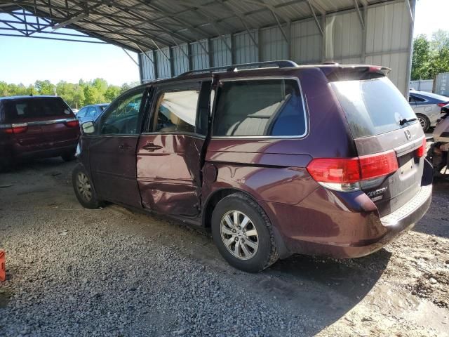 2010 Honda Odyssey EXL