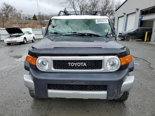 2008 Toyota FJ Cruiser