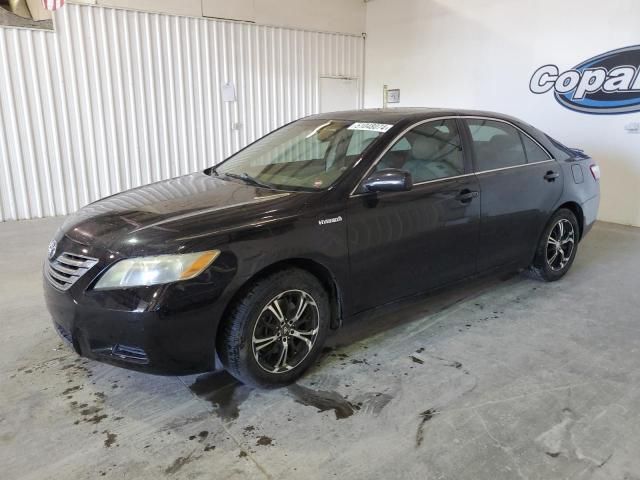 2007 Toyota Camry Hybrid