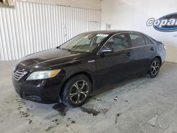 Toyota Camry Hybrid salvage cars for sale: 2007 Toyota Camry Hybrid