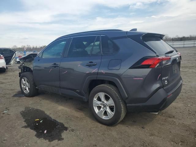 2019 Toyota Rav4 XLE