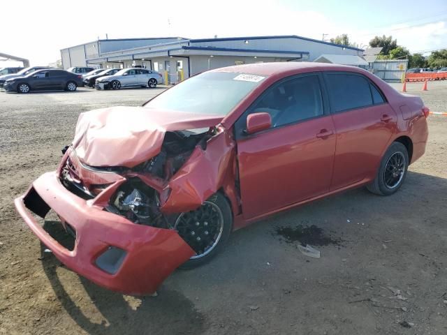 2011 Toyota Corolla Base