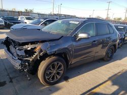 Salvage cars for sale at Los Angeles, CA auction: 2024 Toyota Rav4 XLE Premium