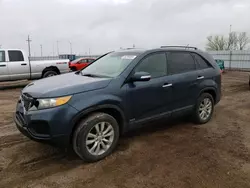 Salvage cars for sale from Copart Greenwood, NE: 2011 KIA Sorento Base