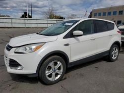 Salvage cars for sale at Littleton, CO auction: 2016 Ford Escape SE