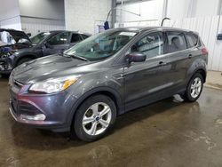 Salvage cars for sale from Copart Ham Lake, MN: 2015 Ford Escape SE