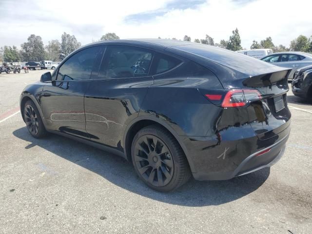 2020 Tesla Model Y