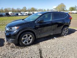 Salvage cars for sale at Hillsborough, NJ auction: 2019 Honda CR-V EX