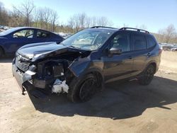 Salvage cars for sale at Marlboro, NY auction: 2019 Subaru Forester Sport