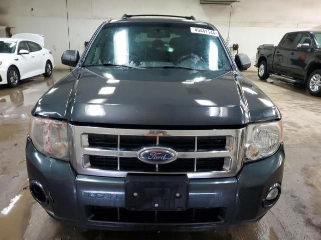 2009 Ford Escape XLT