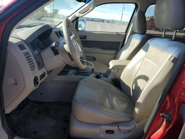 2009 Ford Escape XLT