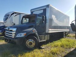 Salvage trucks for sale at Martinez, CA auction: 2021 Hino 258 268